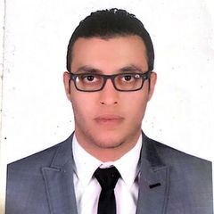 محمد شحاته, collections associate