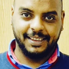 Ahmed Hosny Mohamed Bahr Bahr