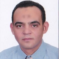 Mahmoud Mohamed Abdul Hamid Sinnar
