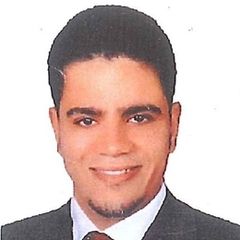 Mohammed Elsayed  فهمي, محامي