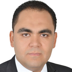 Mohamed Sobhy El-Said El-Kheshen