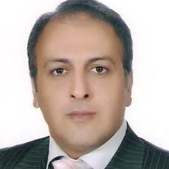Mahdi Momen Heravi, IT Specialist