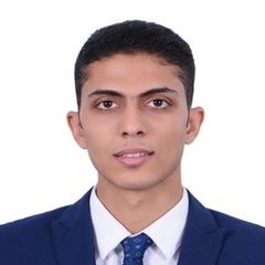 Mohamed Magdy Salah El Din Hegazy Hegazy