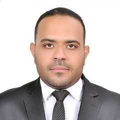 مصطفى ابو الحجاج, Chief Accountant