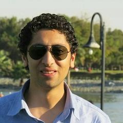 محسن عبد الله, Senior Software Developer