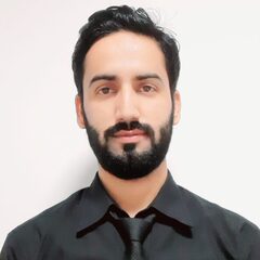 Zulfkar Mir