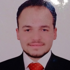 Ahmed El-gendy, Sales manger
