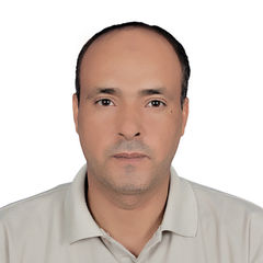 على محمد وشوش, Site Engineer designer