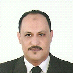 Hossam El-Agawy