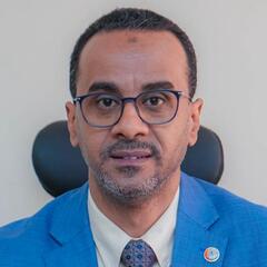 محمد الفاتح عبدالمجيد, Head Of IT Projects