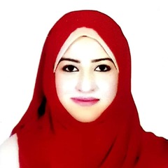 Ayesha Muiz Mir, Software Project Manager