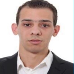 Mohamed Khaled  fellari,  sales executive