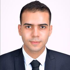 Abdelrahman Shaaban, Software Instructor (C/C++, Python)
