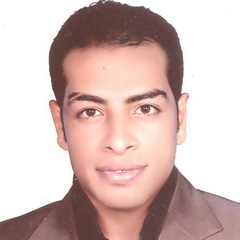 محمد عبد الفتاح محمد حجازي, محامي , أخصائي موارد بشرية