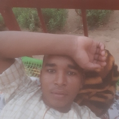 AHMED  Omar 