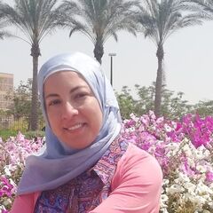 رانيا محمد الصغير, Proposal Integration