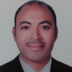 تامر محمد فتحي احمد, Cost Accountant