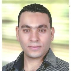 أحمد شناوي محمود, محاسب