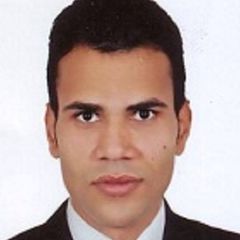 Mahmoud Tarek, مهندس مدنى