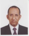نورالدين أحمد البخاري, Vice President