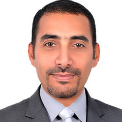 Ahmed Hussein, أخصائي حاسب آلي رئيس قسم