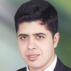 محمد عادل مختار عوارة عوارة, نائب الرئيس التنفيذي 