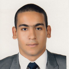 Ahmed Wasfy, Senior Corporate Credit Analyst - Corporate Banking 