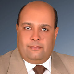 حسن محمود سليمان  عبدالرحيم, مدير مبيعات اقليم الوجة القبلي