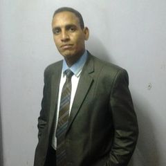 جابر حسين احمد عرابى, Site Project Manager