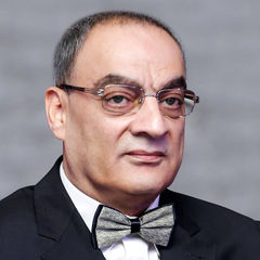 Mohamed Amr Sadik Sadik, Chief Advisory Board