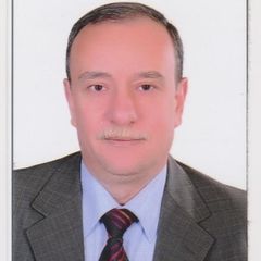 اسامة محمد احمد النحاس, Finance controller
