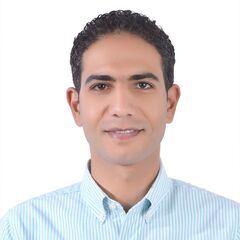 gaber mousa