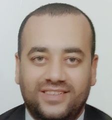 محمد محمد ربيع, Technical office manager