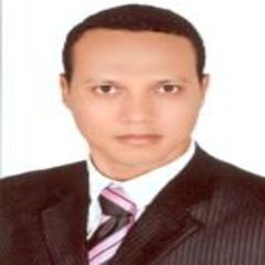 ali ahmed ali  ashour, مدير حسابات لشركة خدمات نقل موظفين