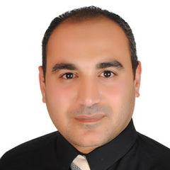 Magdy Mohamed Mohamed, Finalization Specialist
