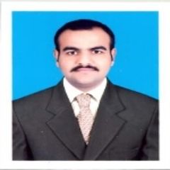 Muhammad  Tauqeer Sarwar, Sales, Estimator and Application Engineer