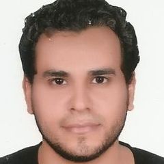 أحمد عبد الرحيم حمام, مهندس تنفيذي