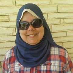 Alyaa Mohamed, Version Control Manager