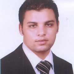  ragab shaban mohamed  ali, Cost controller manager