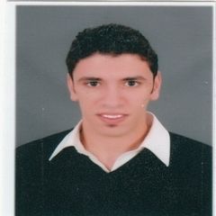 Mohamed Elgamal, site engineer