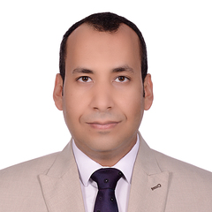 Abdo Hifny Mostafa, Warehouse Supervisor