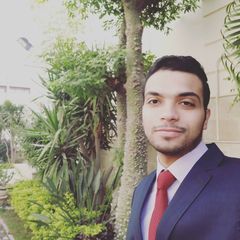Mostafa Shrief  elsaid atey, internal auditor
