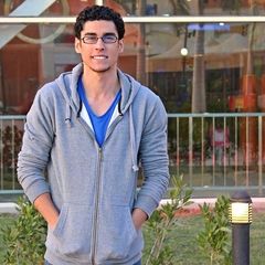 Ahmed Fathy Zeyad