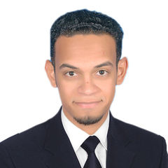 Hosam eldien  Mohammed
