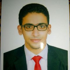 Ahmed Elashry, موظف مبيعات