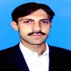 waqar ahmad, Database Officer