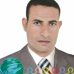 Atef Ramadan, مدير اللامركزية المالية