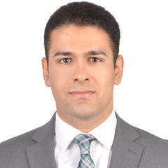 Mohamed Labib Beltagy, Audit Supervisor 