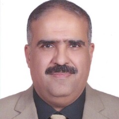 Fady Elshabrawy, Operation and Maintenance Head 
