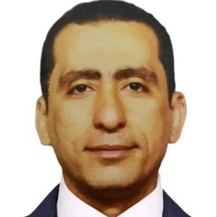 محمود محسن الانصاري, Warehouses Manager at Cigalah group